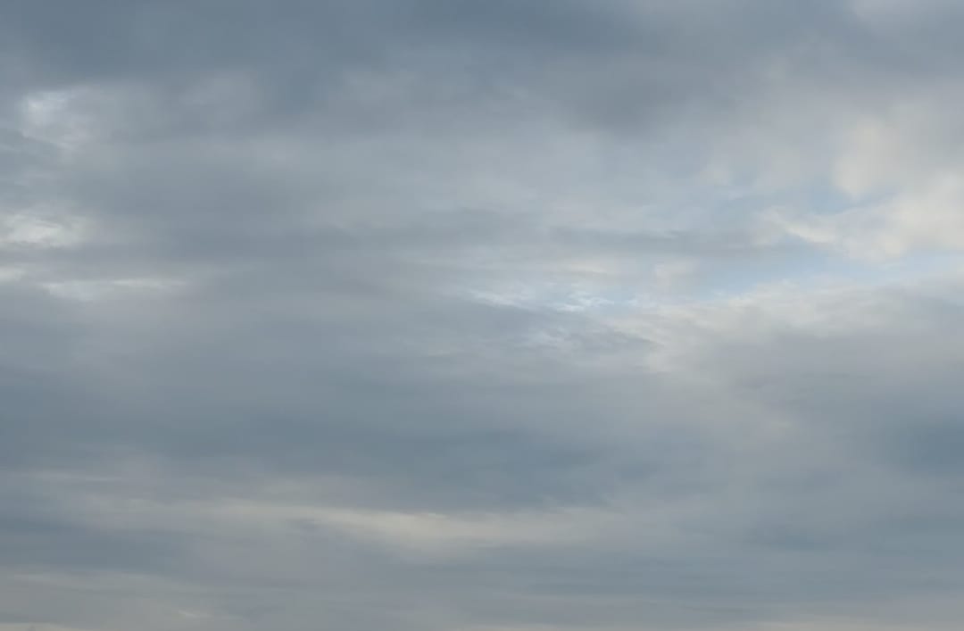 Langit Jambi Dibasahi Garam: Usaha Mencegah Asap dari Tanah Gambut