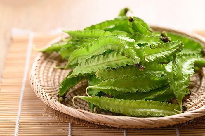 Bukan Sekadar Sayur Hijau, Ini Alasan Kamu Harus Coba Kecipir