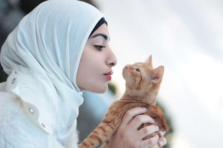 Fakta Unik Pecinta Kucing: Diam-Diam Mereka Punya Sisi Mengejutkan!