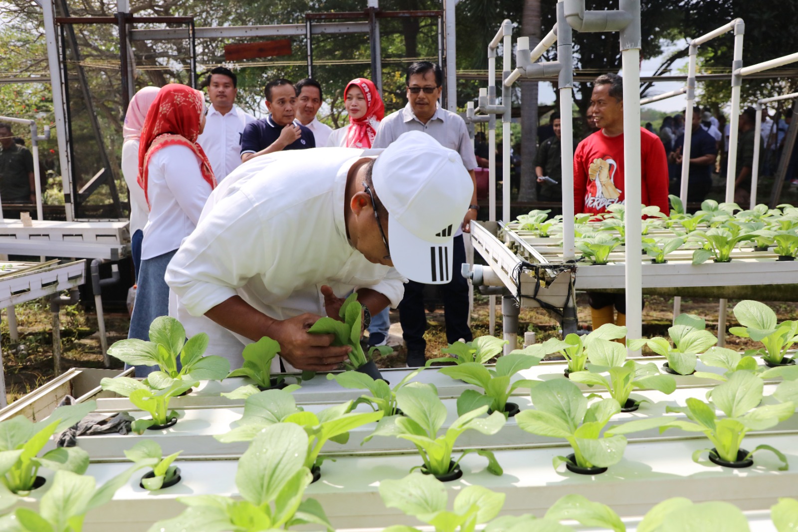 Miliki Potensi, Pj. Gubernur Samsudin Akan Promosi PKK Agro Park 