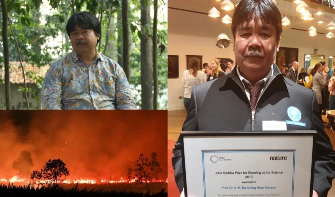 Kisah Prof Bambang Hero, Guru Besar IPB Penyelamat Hutan Indonesia