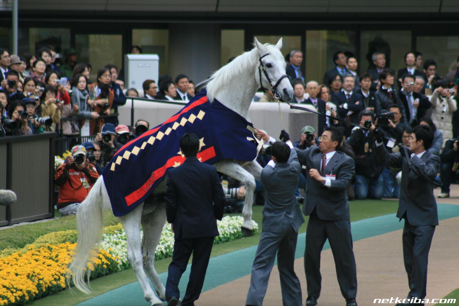 Oguri Cap, Kuda Lemah dari Pelosok yang Menjadi Juara Nasional