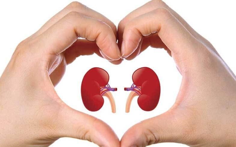 Kamu Harus Tahu! 5 Kebiasaan yang Perlu Diubah agar Ginjal Tetap Sehat