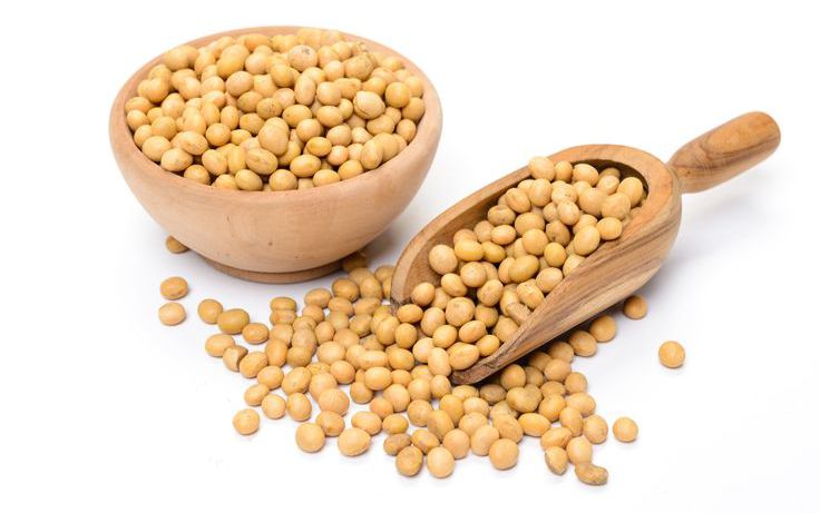 Rahasia Sehat di Balik Kedelai: Kecil Bentuknya, Besar Manfaatnya