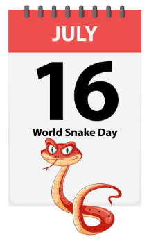 Tak Semua Berbisa: Edukasi Ular Lokal di Hari Ular Sedunia