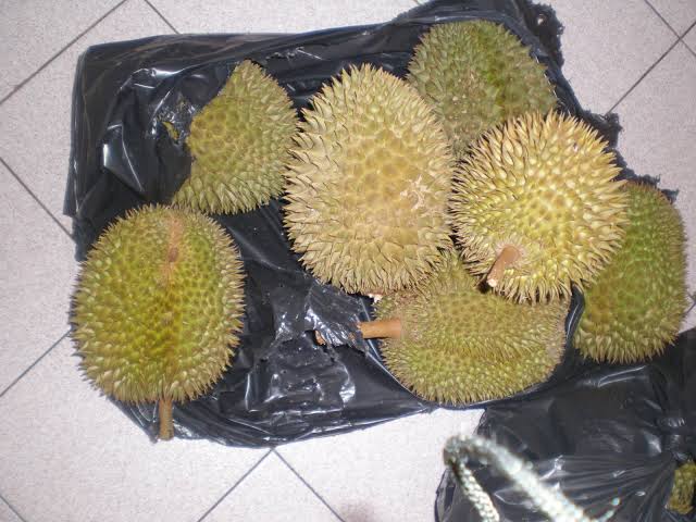 Curi 1,6 Ton Durian, Aksi Pria Ini Berujung Ditangkap Polisi