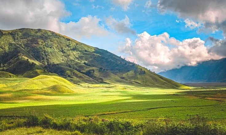 Pesona Bukit Teletubbies Bromo, Keindahan Alam Hijau yang Bikin Wisatawan Serasa di Dunia Dongeng