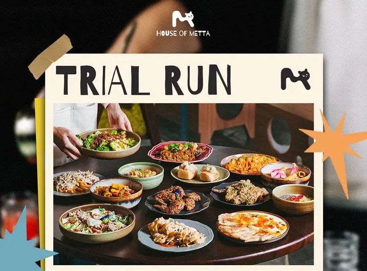 House of Metta: Kafe Kucing Pertama di Bandar Lampung