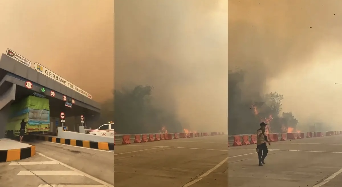 Asap Karhutla Selimuti Tol Lampung, Api Masih Terlihat di Wilayah Tulang Bawang