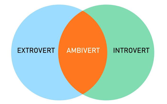 Perbedaan Kepribadian: Introvert, Ekstrovert, dan Ambivert, serta Faktor dan Dampaknya
