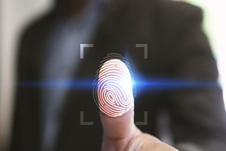 8 Miliar Manusia di Dunia, 16 Miliar Ibu Jari, Tak Ada yang Benar-Benar Sama