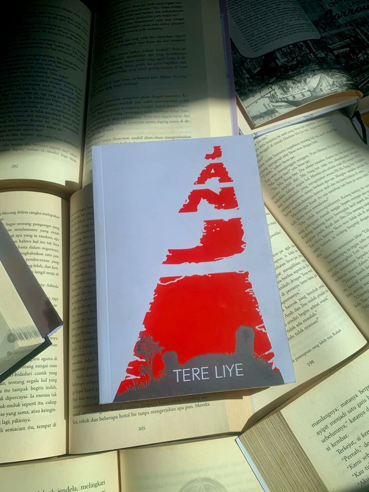 Janji Karya Tere Liye: Novel Penuh Makna Tentang Pengorbanan dan Keteguhan Hati