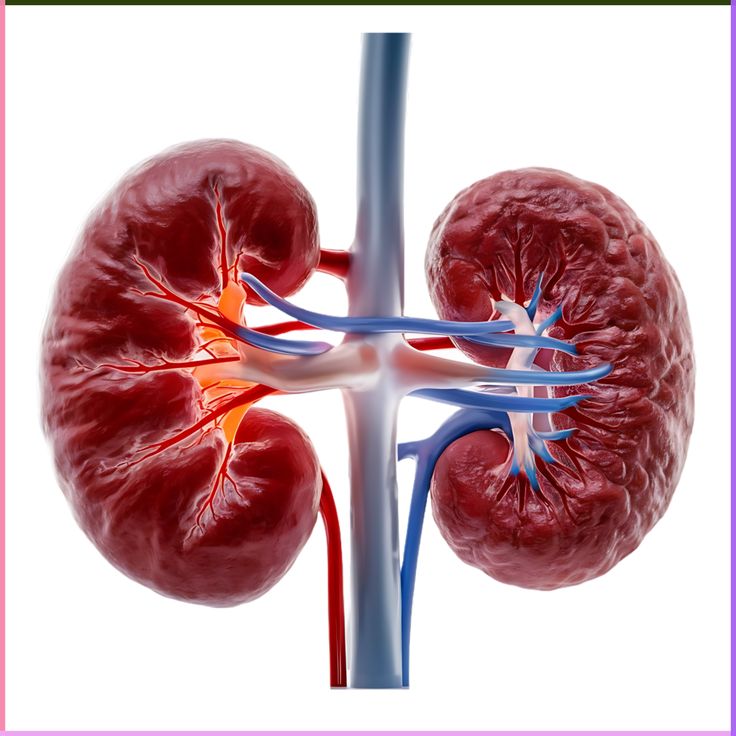 Bahaya! Ini Jenis Obat-obatan yang bisa Merusak Ginjal