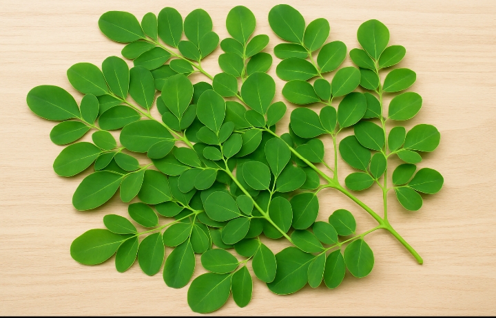 Manfaat Luar Biasa Daun Kelor untuk Kesehatan