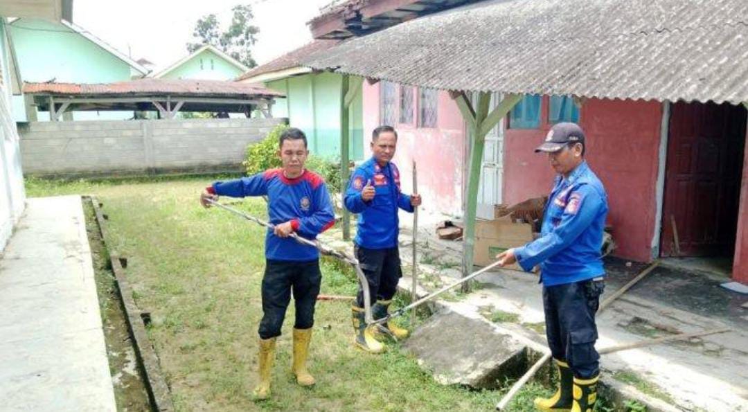 Ular Berbisa Ini Diciduk Usai Serang Siswa TK