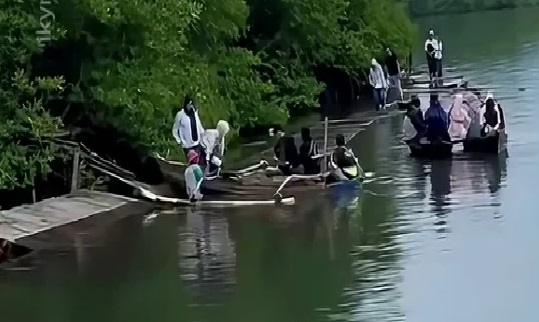 Jembatan Wisata Hutan Mangrove Petengoran Ambruk, Pengunjung Dievakuasi