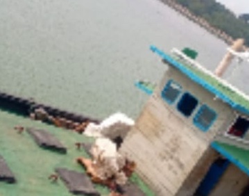 Lantamal IV Amankan KM Meneer, Diduga Bawa 20 Ton BBM Jenis Solar Ilegal