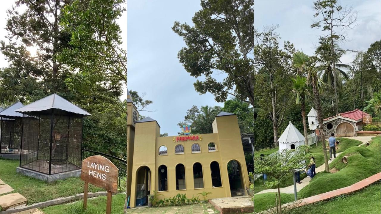 Seru dan Edukatif! Jelajahi Dunia Peternakan di Farmora Lampung Bersama Keluarga