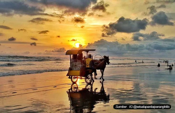 Pantai Parangtritis: Pesona Alam, Legenda Mistis, dan Daya Tarik Wisata yang Tak Pernah Lekang di Yogyakarta