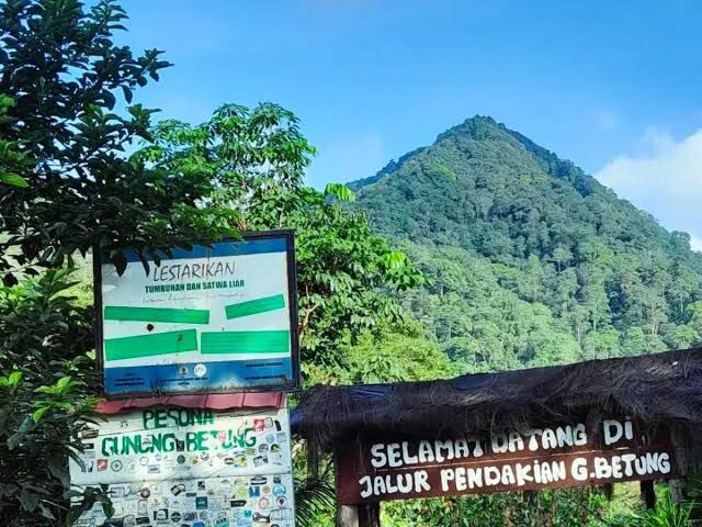 Gunung di Lampung Ramah Pemula: Pilihan Aman dengan Pemandangan Menawan