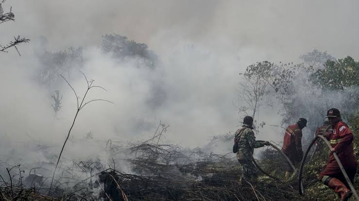 Karhutla Makin Parah, DPR Desak Pemerintah Tetapkan Status Bencana Nasional