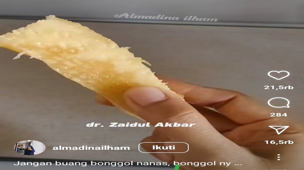 Jangan Buang Bonggol Nanas, Ini Cara Mengolahnya untuk Mengobati Sinusitis ala Dokter Zaidul Akbar