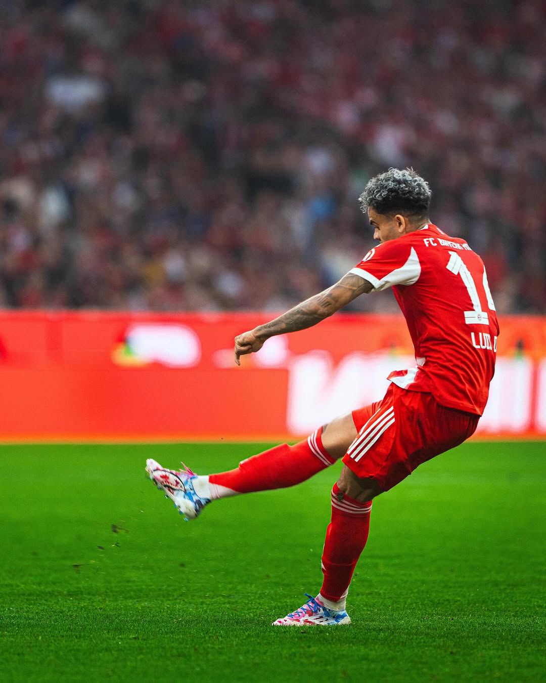 Luis Díaz Bersinar, Bayern München Libas Eintracht Frankfurt 3-0 di Allianz Arena