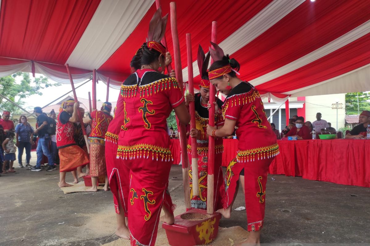 Budaya Tumbuk Padi dari Kalimantan Jadi Daya Tarik Wisatawan, Warisan Tradisi yang Terus Dijaga