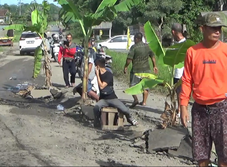 Protes Jalan Rusak Warga Tanam Pohon Pisang Di Jalan Penghubung Tubaba