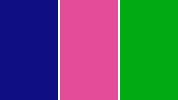 Tiga Warna Simbol Perjuangan Rakyat Indonesia: Resistance Blue, Brave Pink, dan Hero Green 