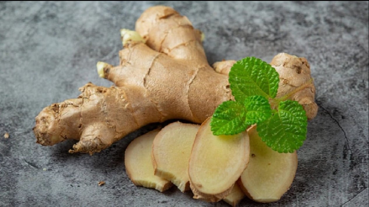 Rempah Ajaib denngan Segudang Manfaat