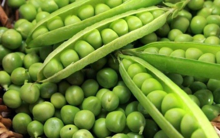 Kaya Nutrisi dan Bikin Tubuh Sehat: Ini 5 Manfaat Kacang Polong yang Sayang untuk Kamu Lewatkan