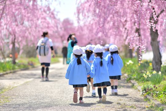 Anak-Anak TK Mencapai Puncak: Ketangguhan dan Alam dalam Pendidikan Dini di Jepang