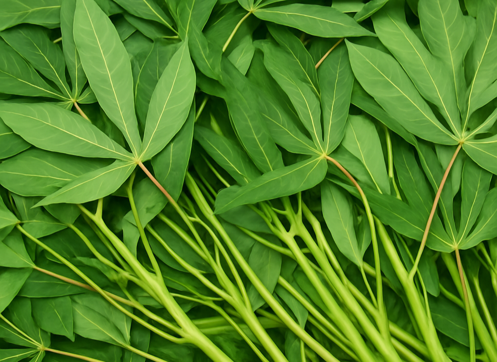 Suka Daun Singkong, Ternyata Kaya Manfaat Kesehatan yang Jarang Diketahui