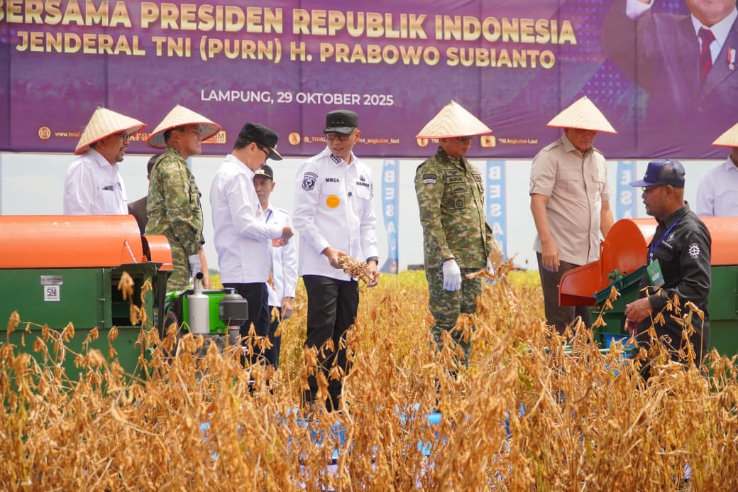 Dukung Swasembada Pangan, Pemprov Lampung & TNI Panen Kedelai