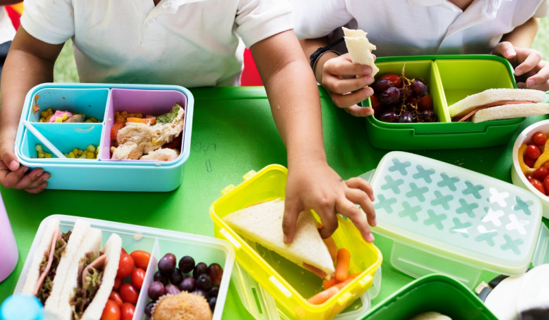 Pemprov Lampung Ajukan 49 Titik SPPG Baru untuk Mendukung Program MBG