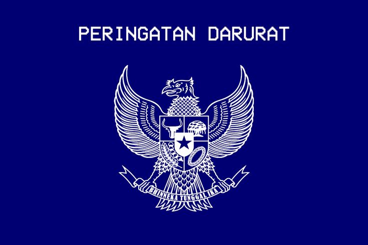 Scroll Politik, Scroll Kekecewaan Generasi Muda 