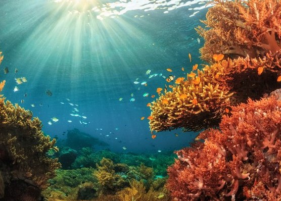 Fakta Unik yang Jarang Diketahui: Air Laut dan Rahasia Tersembunyi di Dalamnya