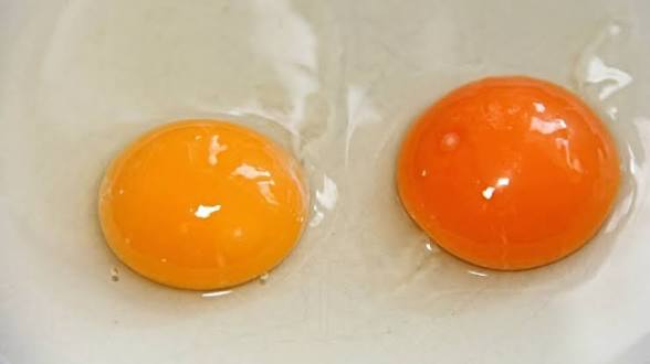 Kuning Telur Berwarna Oranye, Apakah Aman Dikonsumsi?