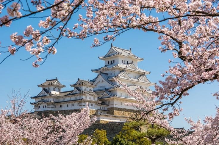 Putri Mako Tinggalkan Istana Demi Cinta, Begini Kehidupan Terbarunya 