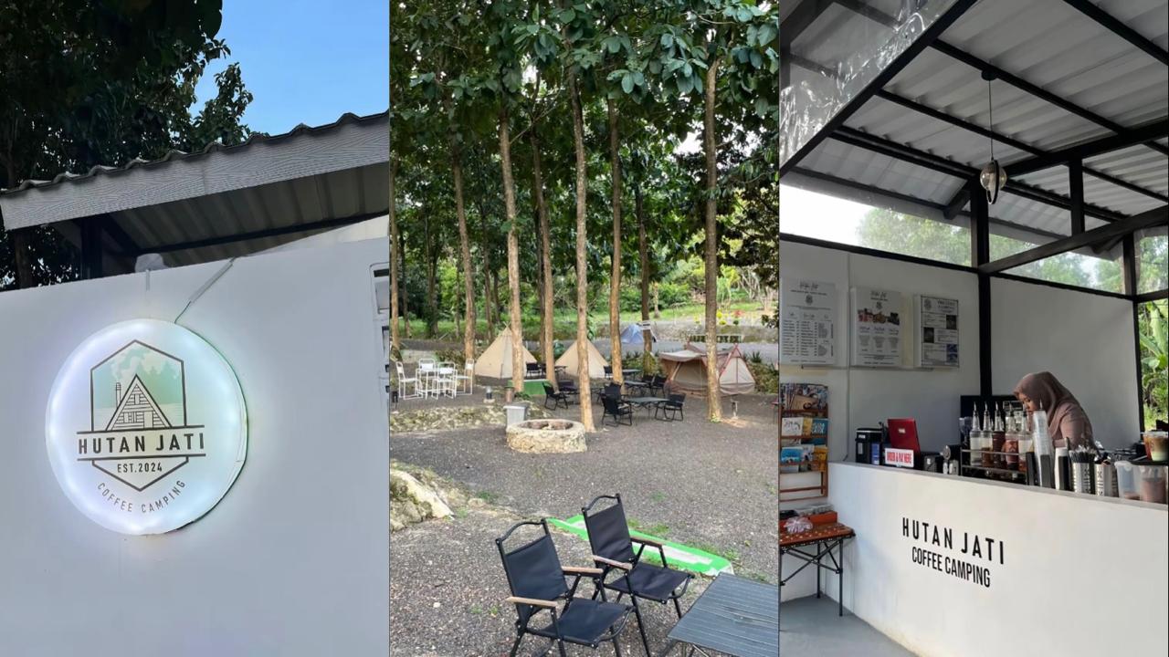 Hutan Jati Coffee Camping: Menyatu dengan Alam dan Aroma Kopi di Bandar Lampung