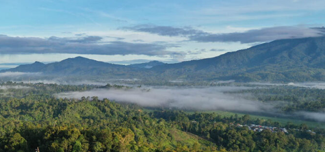 Bukit Bawang: Menyusuri Keindahan Alam dan Perkebunan Kopi di Lampung Barat