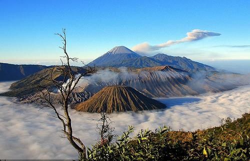 Gunung Bromo Kembali Dibuka, Wisatawan Bisa Berkunjung Mulai 20 Agustus 2026
