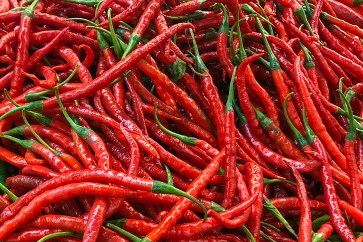 Lonjakan Harga Cabai Merah Keriting Bikin Resah, Segini Harganya per Kilogram