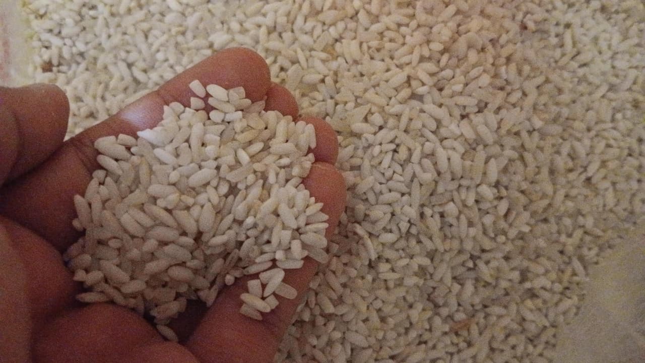 Bulog Pastikan Pasokan Beras Terjaga Hingga Bulan Ramadan, Stok Lampung Capai 168 Ribu Ton