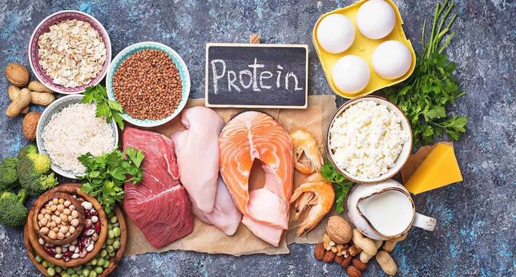 Pentingnya Protein Dalam Pembentukan Massa Otot
