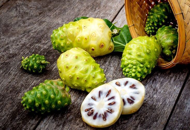 Buah Mengkudu: Si Pahit yang Kaya Manfaat untuk Tubuh