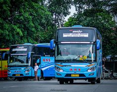 Ini Dia Tarif Bus Antar Kota di Provinsi Lampung dengan Rute Lengkap