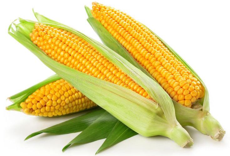 Jagung Rebus: Camilan Sederhana dengan Segudang Manfaat