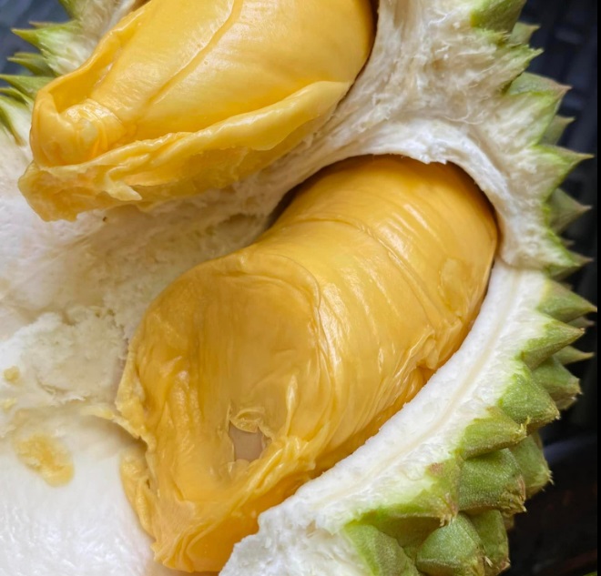 Tak Cuma Terlambat Panen, Kemarau Panjang Picu Buah Durian Gugur Usia Muda 